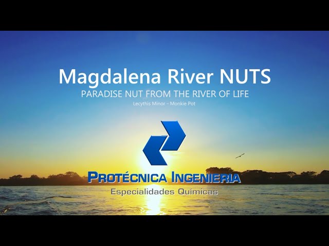 imagen-video-thefoodtech