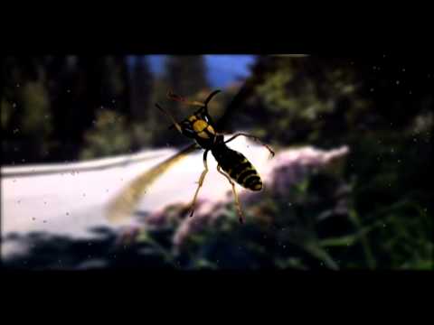 LAMBRETTA - SPOT TV 2012