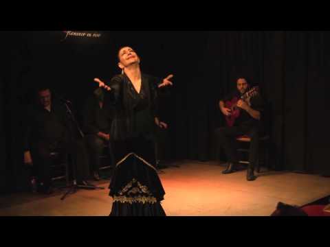 CASA PATAS, FLAMENCO EN VIVO #252 - ANGELA ESPAÑADERO