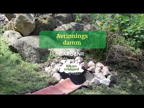 Drainage pond - Gardenhacks by GardenR