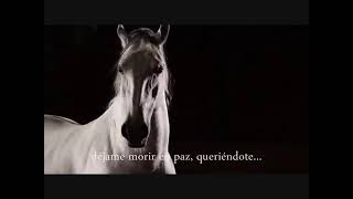 Bronco-Espinas Con Letra(Video Oficial)2023
