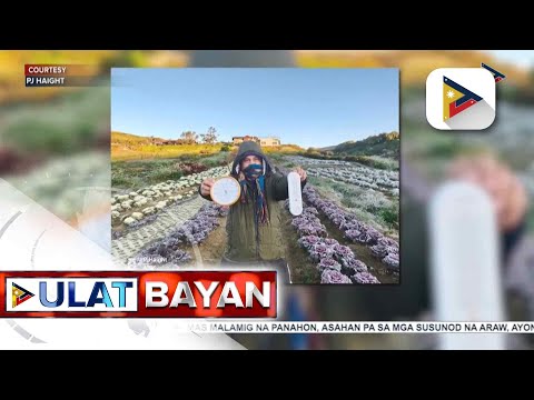 Atok, Benguet, nakapagtala ng 5°C na temperatura kaninang umaga; andap, naitala sa ilang taniman...