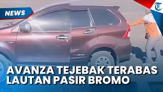 Nekat Terabas Lautan Pasir Bromo Pakai Avanza, Mobil Wisatawan Ini Berujung Terjebak Ambles