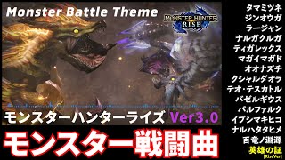 【MHRise】モンスター戦闘曲メドレー（ムービー付）[MH Rise] Monster battle theme medley & movie【作業用1h】【高音質】【BGM】