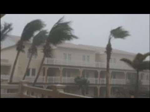 High winds bend palm trees as Irma nears St. Kitts and Nevis