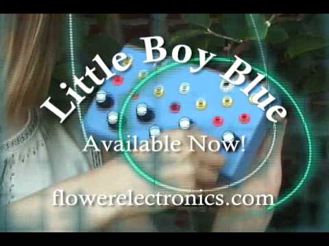 Flower Electronics Little Boy Blue