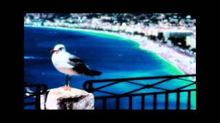 The Rippingtons - Côte Azur.