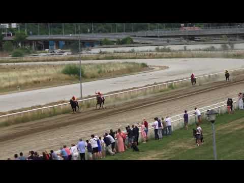 04.07.2021 - Trka Milorad Ličanin Lika - Hipodrom Beograd