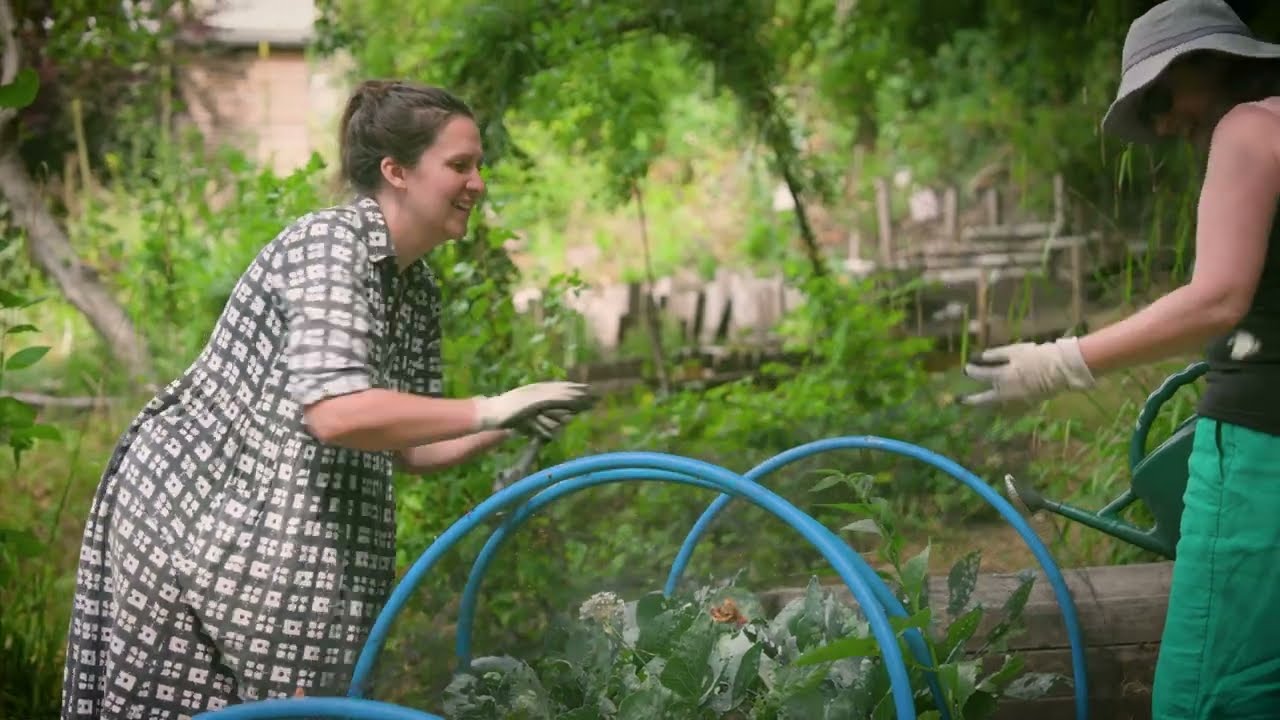 Wellspring Settlement