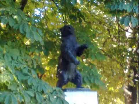 Hans-Joachim Roedelius - Goldregen