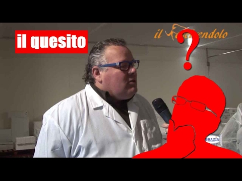 è meglio il pesce italiano o quello estero