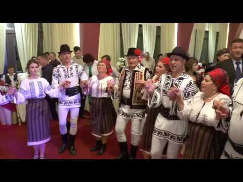 Ansamblul '' Gospodarii de pe Valea Asaului ''