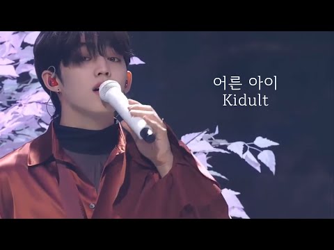SEVENTEEN (세븐틴) - 어른 아이 Kidult | 교차 편집 | Stage Mix