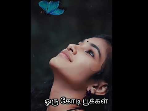 யார் இந்த தேவதை tamil lyrics whatsapp status song