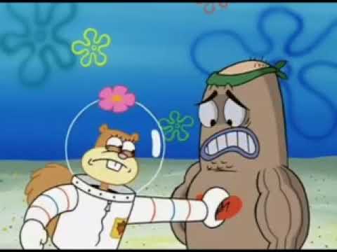 Welcome to the Salty Spitoon, how tough are you?