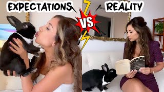 Life with a Bunny: Reality Vs. Expectations