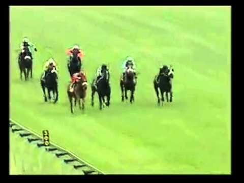 One Cool Dude - 5th win - Racing Association