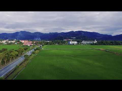 Beauty of Balik Pulau, Penang