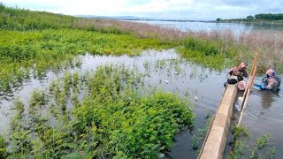 Download lagu SPOT PALING BANYAK DIREQUEST ❗SORGANYA NILA MERAH❗ WGM  mp3