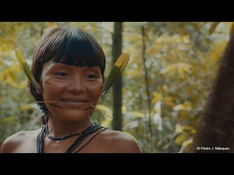 A Última Floresta