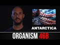 ORGANISM 46b KILLER SQUID UNDER ANTARCTICA