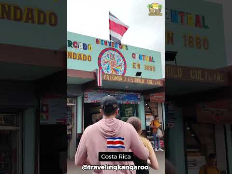 San José Local Market 🇨🇷 Walk #shorts  #travelingkangaroo #walkingtour #4kwalk #travel #costarica
