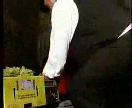 Frajkinclari - šmarnica je večna