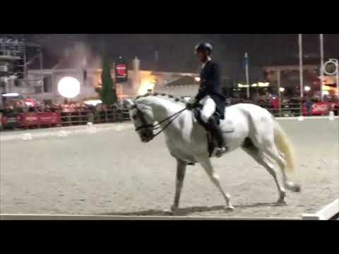 Golega 11.2018 David & Feijão Frade / Inter I Freestyle / 4rd Place