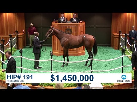 Medaglia d'Oro - The Auctioneer