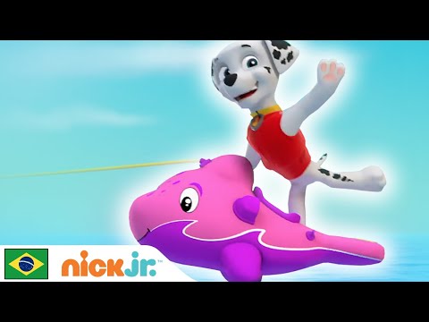 Capa de Patrulha Canina | 🐬 Os filhotes salvam um filhote de golfinho 🐬 | Nick Jr. em Português