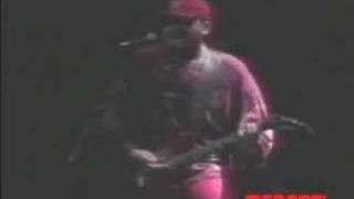 Raimundos-Sereia da Pedreira