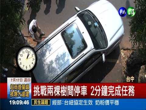 最強停車達人示範 車擠進兩樹間