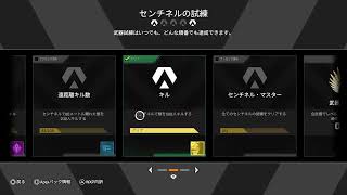 もみじのエーペックス　1ヶ月触ってないやつ