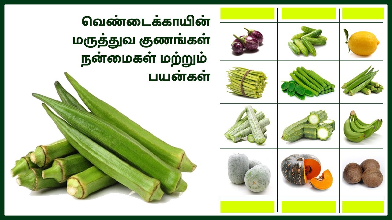 வெண்டைக்காய் | பொரியல் | பச்சடி | வறுவல் | புளி குழம்பு | கார குழம்பு | மோர் குழம்பு | சாம்பார்