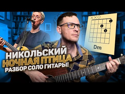 Никольский - Ночная птица соло на гитаре ???? кавер табы аккорды | pro-gitaru.ru