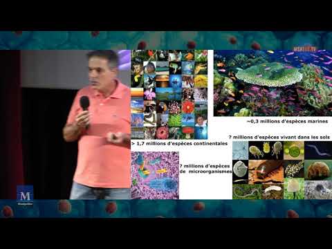 Les multiples facettes de la biodiversité - Éric Garnier