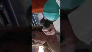New born puppy having trouble breathing