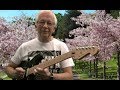 Sumiko - The Shadows cover