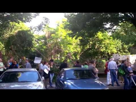 Vorabend der baumfällungen in der Crellestr.