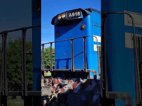 Tren llegando a la estación ferroviaria Coronel Brandsen en Buenos Aires Argentina
