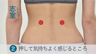 志室 YouTube動画のサムネイル