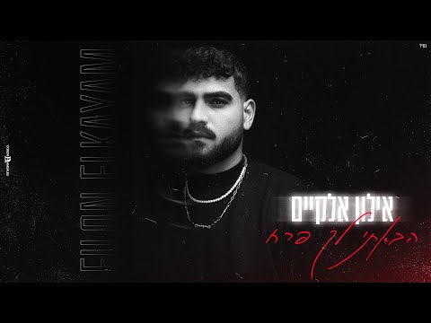 אילון אלקיים - הבאתי לך פרח (Prod. By Meir Mishali)