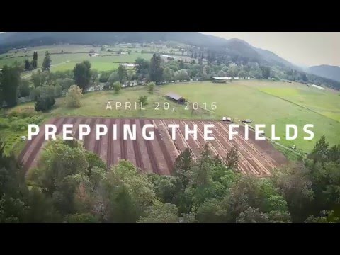 OM Farms Oregon - Prepping the Fields 420 (4-20-16)