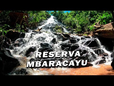 Tour a la Reserva del bosque Mbaracayú - Canindeyú Paraguay