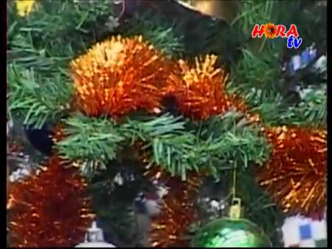 Willy DLO - COLINDA - Coborat o coborat