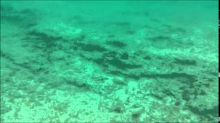 preview picture of video 'Araneb  Island- Samsung Galaxy S4 Active Waterproof Test'