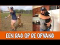 Achter de schermen bij Pippi's opvang | DierenpraatTV
