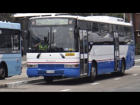 Sydney Buses 3384 - Mercedes-Benz O405 (W3E/PMC 160) - Summer Weekend Beach Runner