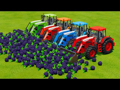 LOAD AND TRANSPORT BLACKBARRYS WITH JOHN DERRE TRACTORS - Farming Simulator 22