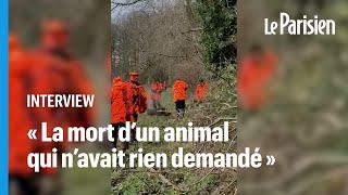 Sanglier domestiqué abattu par un chasseur : un an après, Alain en a encore les larmes aux yeux